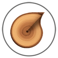 Die Möbel und Böden in der Ferienwohnung bestehen aus gesundem Massivholz, natürlich und zeitlos schön